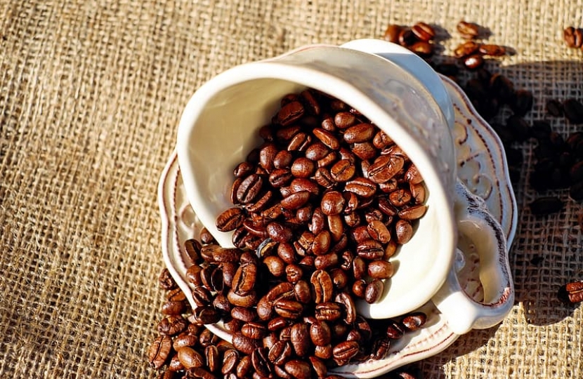 Coffee Cup and Beans